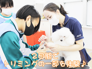 高校生がインターンシップで来校！